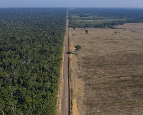 A road sepeatess rainforest and soya bean fields in Belterra, Pará state, Brazil