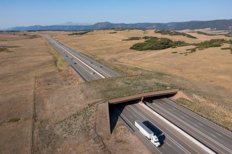 Aerial view of a grassy wildlife overpass bridging Interstate 25 as a truck drives beneath