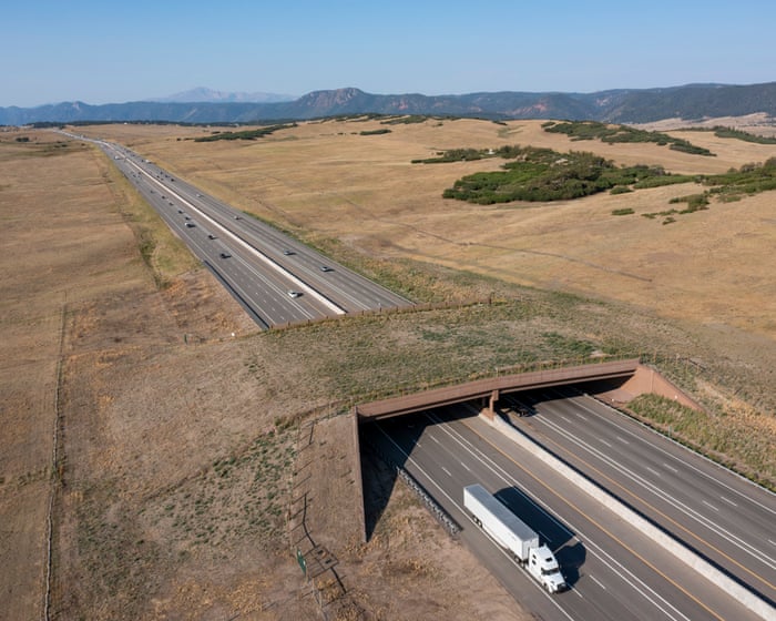 Image accompanying the story: Colorado wildlife overpass cut vehicle-animal collisions by 91%, report finds