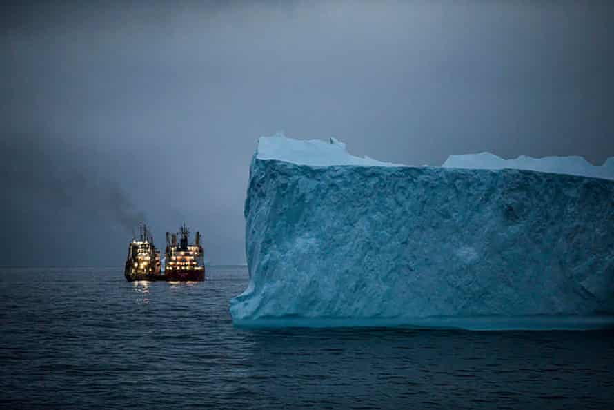 يتم نقل الشواية من سفينة صيد إلى الشعاب المرجانية أثناء النقل إلى جزر أوركني الجنوبية في أنتاركتيكا. 