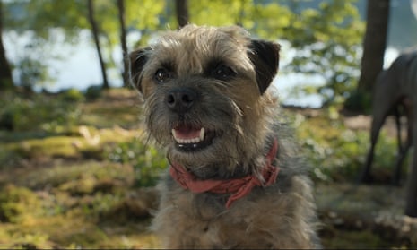 Scruffy terrier Reggie (Will Ferrell) in Strays.