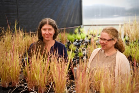 two women stand in a greenhouse