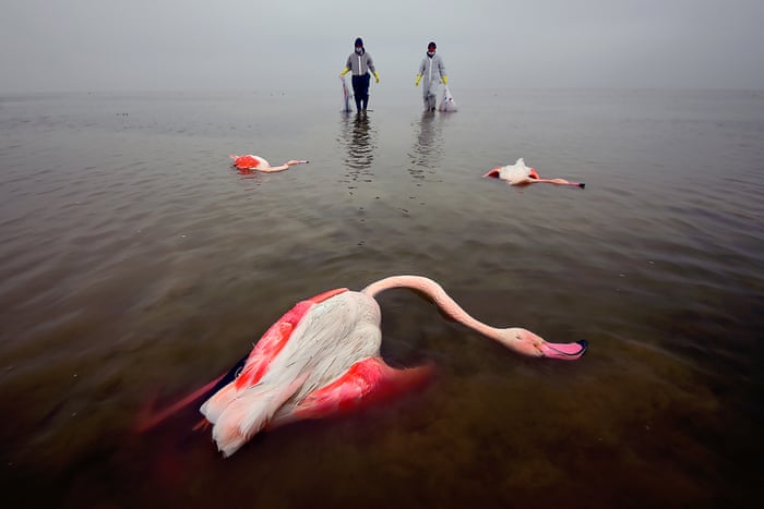 Environmental Photographer Of The Year environmental-photographer-of-the-year