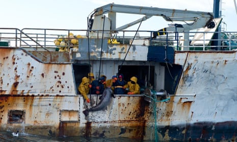 The Kunlun fishing vessel in the Southern Ocean. The New Zealand navy was involved in a high-seas standoff with vessels that used “evasive tactics” to thwart boarding attempts, officials said. Photo: AFP/New Zealand Defence Force/Amanda Mcerlich