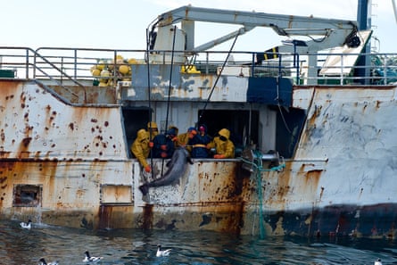A vessel that was involved in a high-seas standoff with the New Zealand navy in the Southern Ocean after suspected poaching