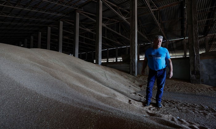 Oleksandr Chubuk, a Ukrainian farmer, stands on wheat grain in a warehouse in the village of Zghurivka, in Kyiv oblast