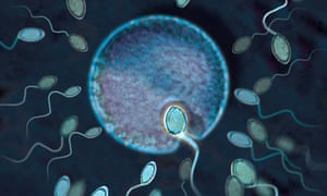 In 2004 the New Zealand government introduced legislation banning anonymous sperm donations.