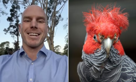 David Pocock backs #TeamGangGang for bird of the year 2023 – video