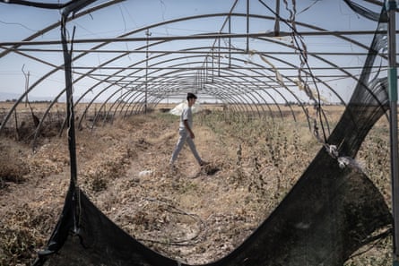 A man walks underneath metal bars forming a tunnel over crops