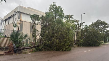 Trees down in Darwin