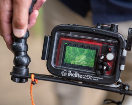 A photograph of a seahorse on the screen of an underwater camera.