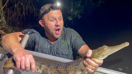 Cocodrilo de agua dulce en un arroyo