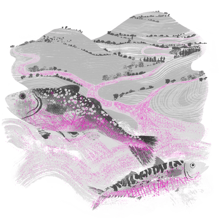 Superimposed image showing plastics in the river, in the sea and in the fish Superimposed image showing plastics in the fish, in the bread and in the milk that were featured in the previous illustration.