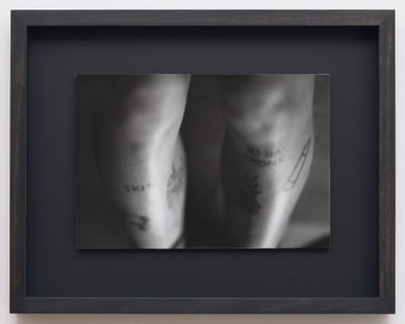 Half-revealed … Rene’s Legs, 2025.