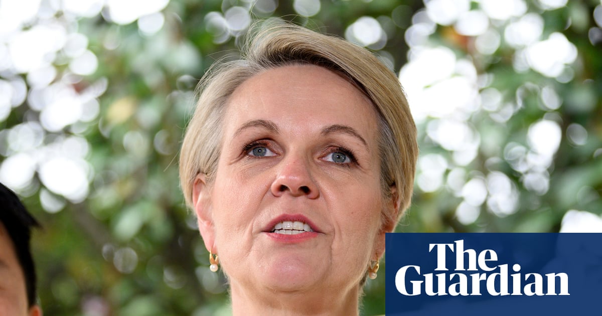 ‘Dangerous and undermines our systems’: Tanya Plibersek condemns serious police failures in Queensland DV deaths