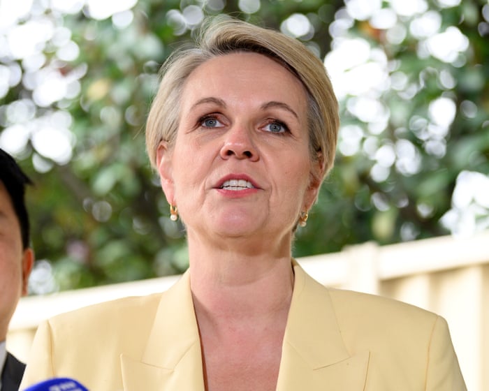 ‘Dangerous and undermines our systems’: Tanya Plibersek condemns serious police failures in Queensland DV deaths