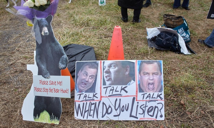 POLL: Should bear hunting in New Jersey be banned? 4500