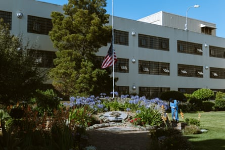 flag at half staff amid garden