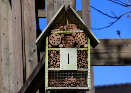 A bug hotel