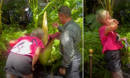 A composite image of a woman leaning in to smell a large flower and then putting her hand to her face