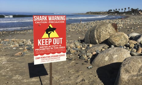 Conservationist bites back on shark kill plan – Boston Herald