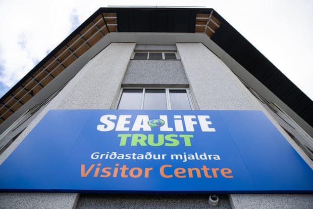 The Sea Life Trust premises at Klettsvik Bay on Heimaey Island, Iceland.