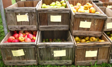 Varieties Archive - New York Apple Association