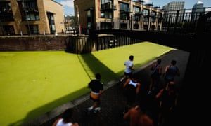 A canal, covered in duck weed.