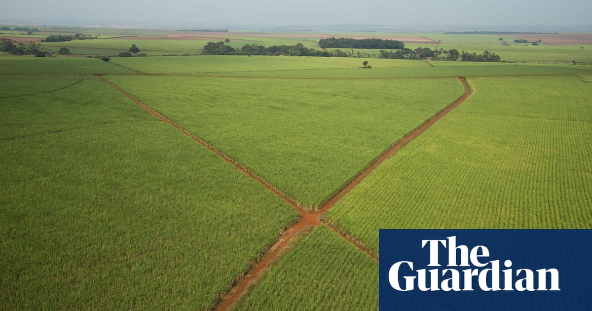 eu-firms-accused-of-abhorrent-export-of-banned-pesticides-to-brazil