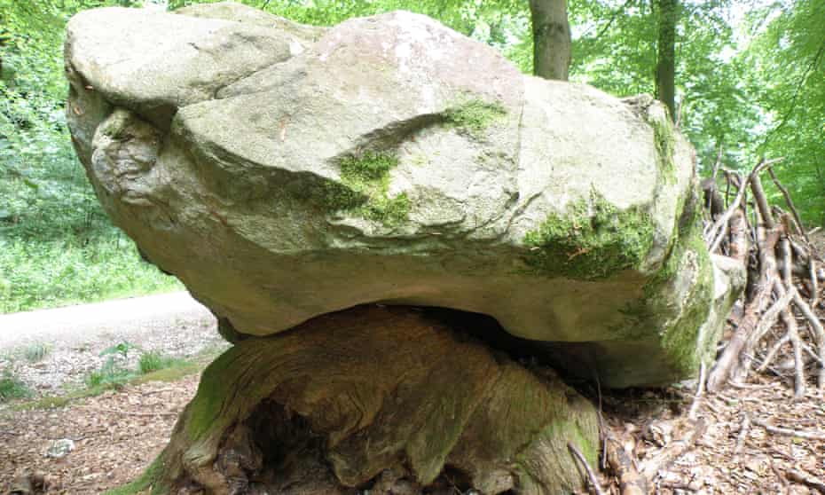 A large sarsen stone at West Woods, the probable sourcing point for most of the sarsens used to construct Stonehenge