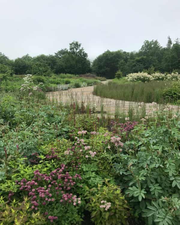 The 20 Best Garden Instagram Accounts Life And Style The Guardian