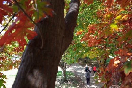 People walk along a path surrounded by trees in autumn colours in Canberra.