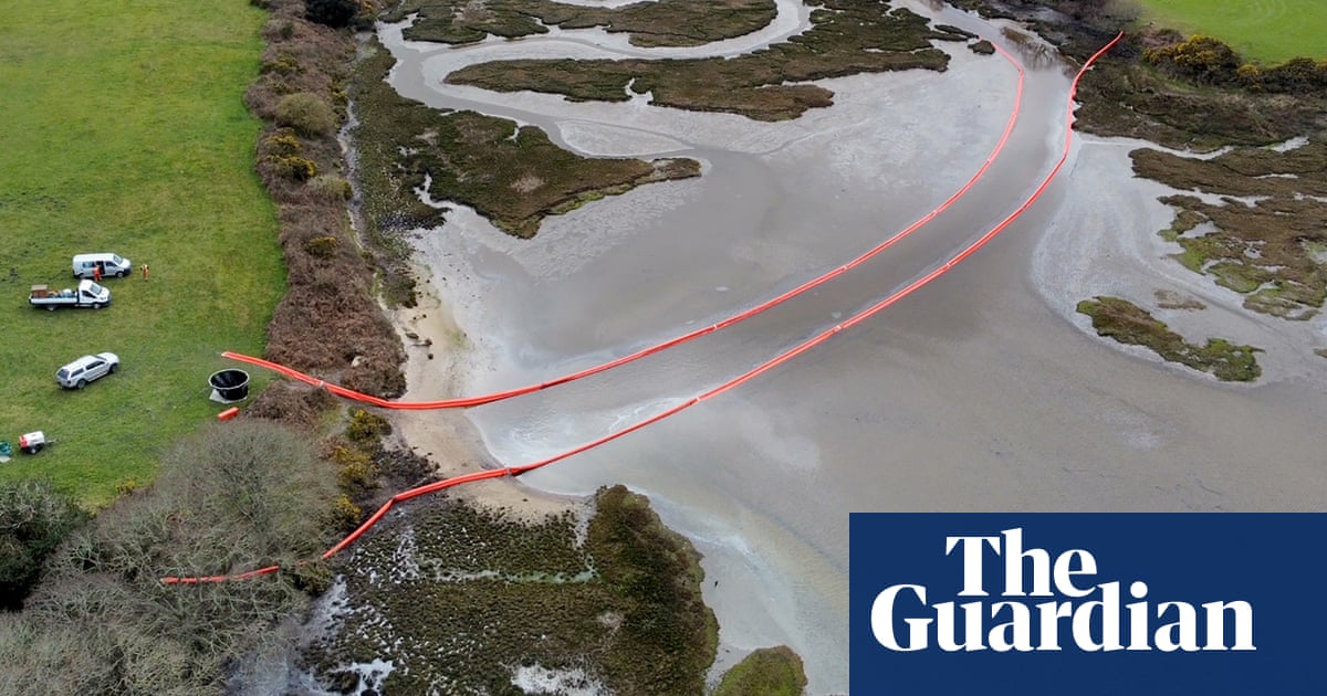 Company directors who cause nature damage in Scotland could face jail