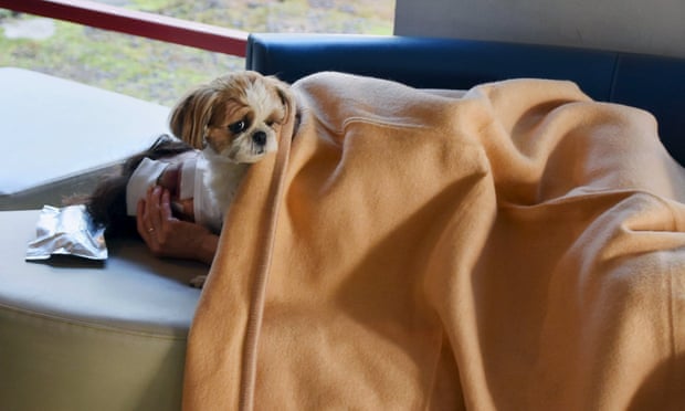 A local resident rests with a pet dog at an evacuation center after an earthquake in Mashiki town.