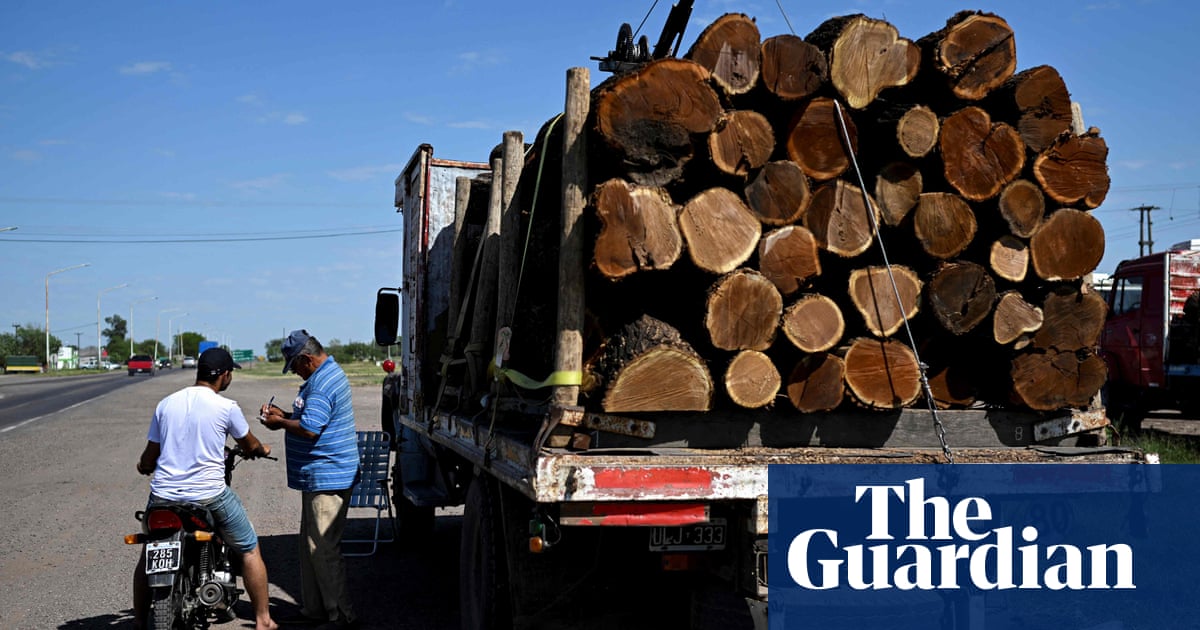 Stop burning trees to make energy, say 650 scientists before Cop15 biodiversity summit