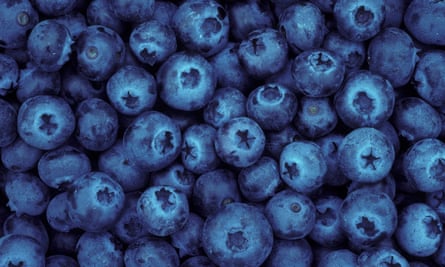 Blueberries Oregon. Local farmers are worried by increases in minimum wage