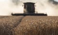 UK Farmers Face Warming Climate And Other Challenges At Harvest Time<br>LYMINGE, ENGLAND - AUGUST 08: A combine harvester harvests wheat in fields near Lyminge on August 08, 2022 in Lyminge, England. As the climate warms, farmers across the UK have seen the annual harvest arrive up to a month early over the last 60 years, with 2022 being the earliest on record. Changing climate, the affects of the war in Ukraine, Brexit, and a world still emerging from a Covid pandemic have also added to the complexities. Rising fuel, fertiliser and irrigation costs have hit farmers hard, with shortages in workforce across the sector, parts shortages, and fluctuating crop prices adding to the difficulties. (Photo by Dan Kitwood/Getty Images)