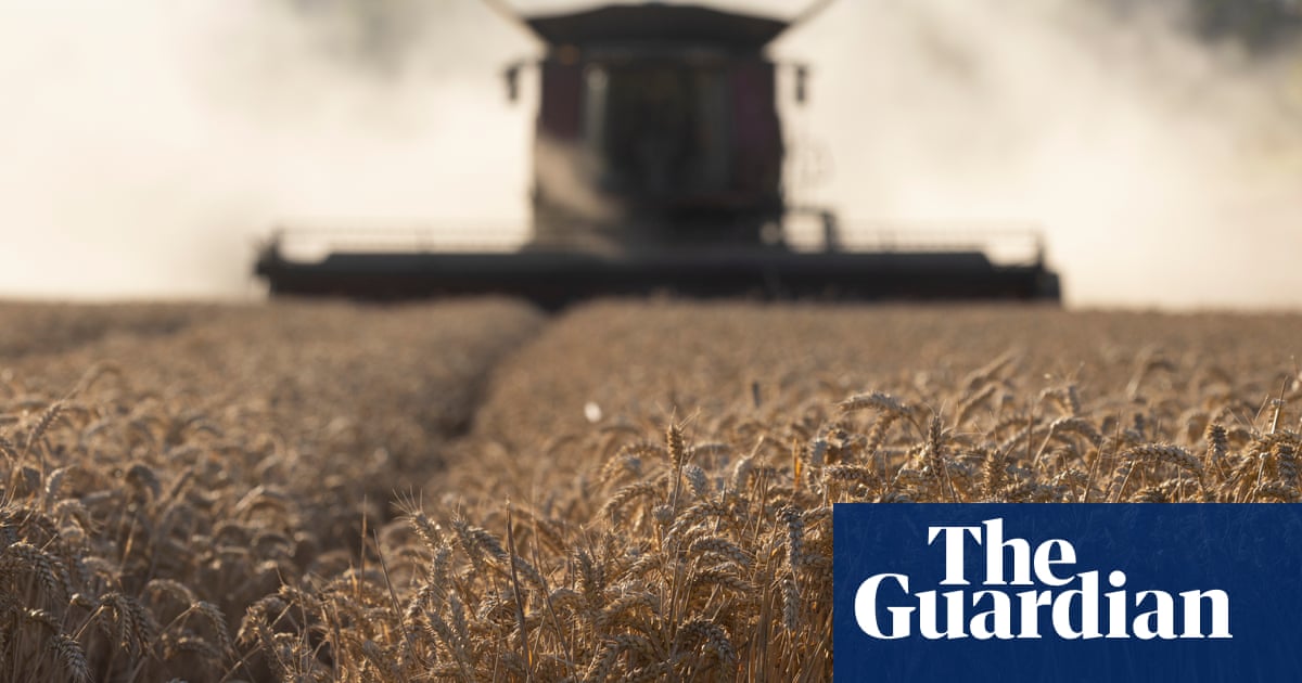 UK farmers: how has the weather affected food production?  | Farming | The Guardian