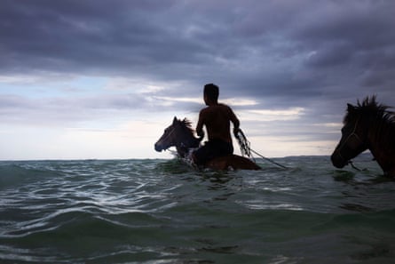 A man rides his Sumba ponies into the sea, Sumba, Indonesia
