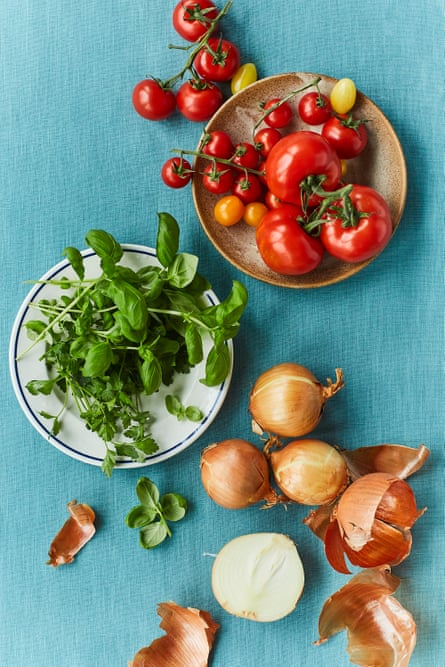 Overhead shot of ingredients - tomatoes, basil, onions