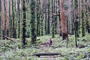 Newnes Plateau, New South Wales
