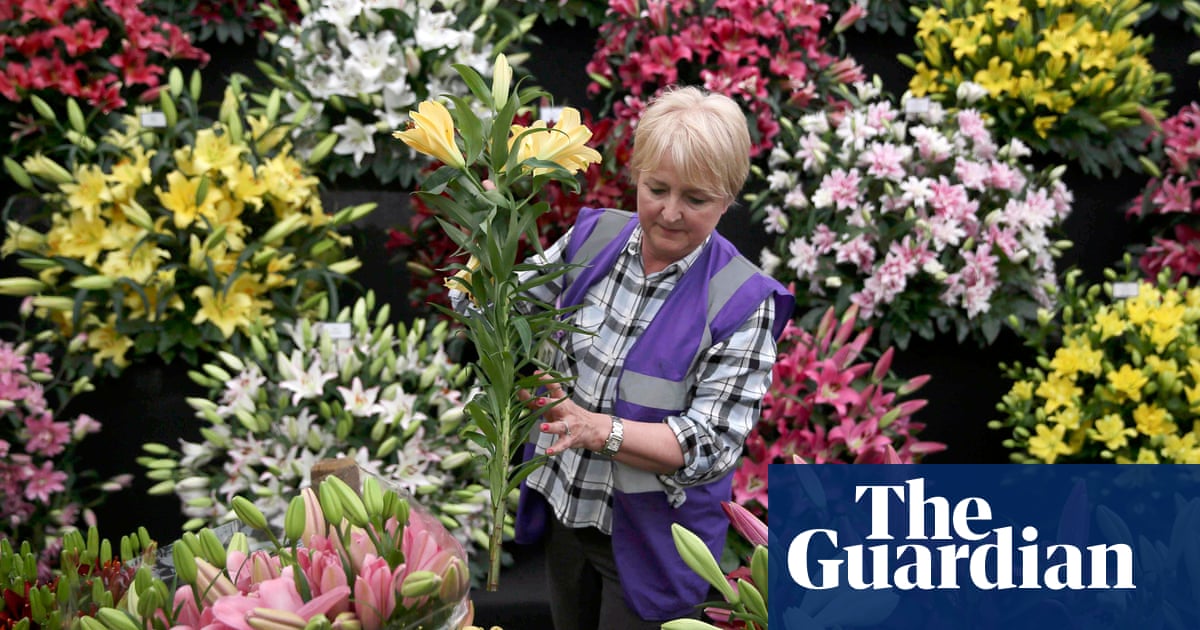 Chelsea flower show preview – in pictures | Life and style | The Guardian