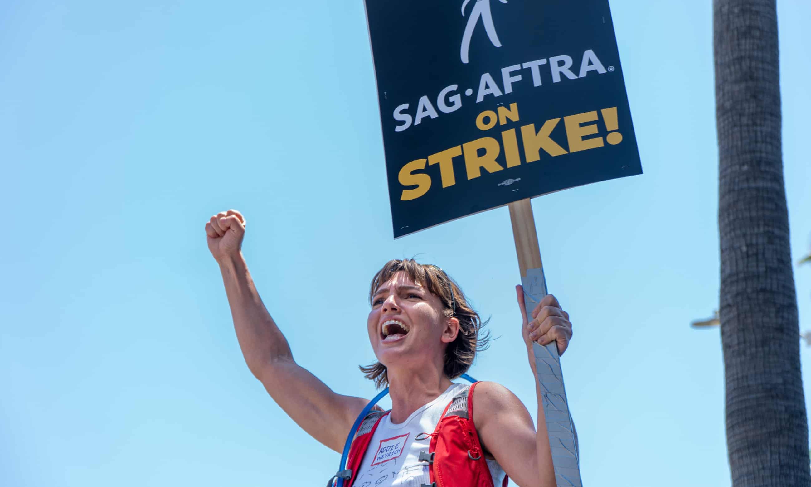 Summer of discontent: will US strikes spell trouble for ‘union guy’ Biden? (theguardian.com)