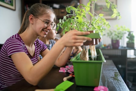 Hydroponic gardening is different from regular gardening in one big way: plants are grown in a water-based nutrient solution.