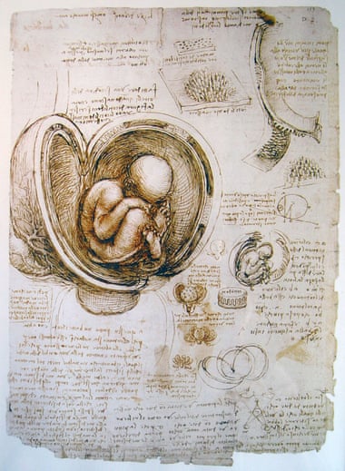 Leonardo da Vinci’s anatomical study.