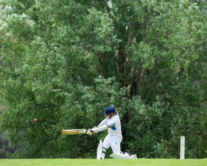 The Hotspot | Why willows put the rest in the shade when cricket goes planting trees