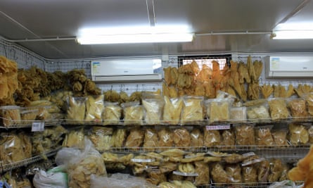 A store room full of dried and bagged fins.