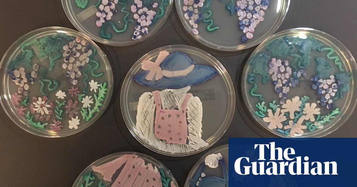 Art in a petri dish: the Agar art awards 2020 – in pictures | Science