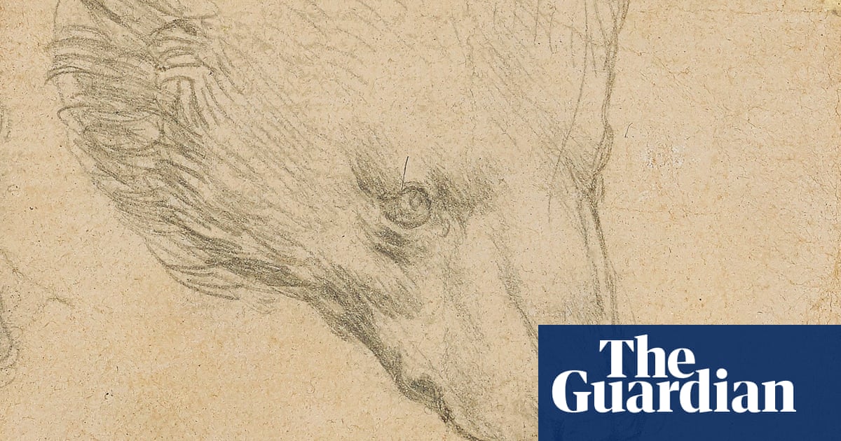 Leonardo da Vinci bear drawing is expected to fetch £12m at auction