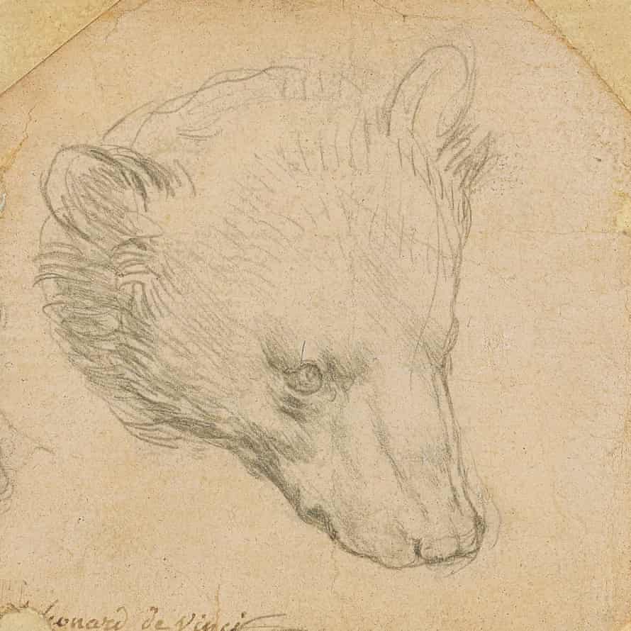Head of a Bear by Leonardo da Vinci.